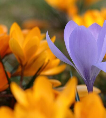 Могилів-Подільський Онлайн