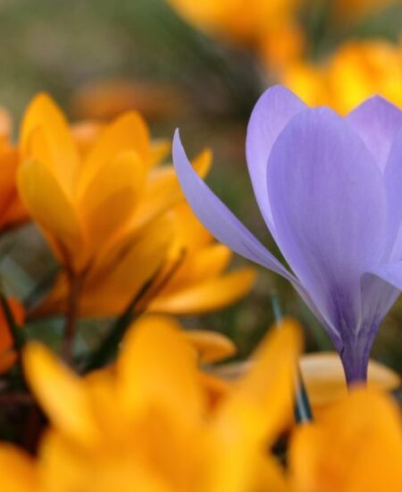 Могилів-Подільський Онлайн