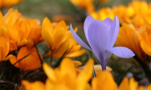 Могилів-Подільський Онлайн