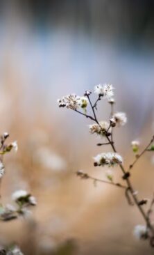 Могилів-Подільський Онлайн