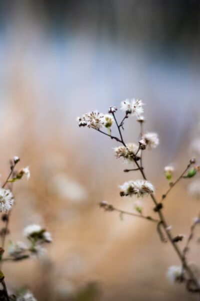 Могилів-Подільський Онлайн