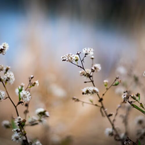 Могилів-Подільський Онлайн