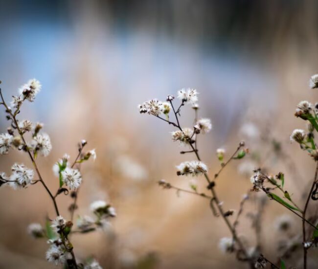 Могилів-Подільський Онлайн