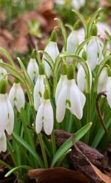 Могилів-Подільський Онлайн