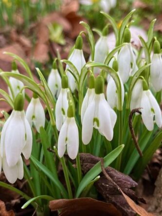 Могилів-Подільський Онлайн