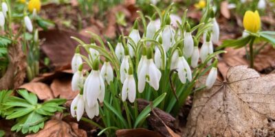 Могилів-Подільський Онлайн