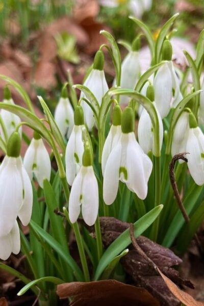 Могилів-Подільський Онлайн