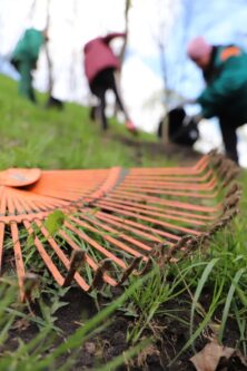 Могилів-Подільський Онлайн