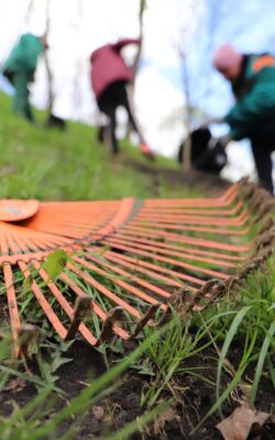 Могилів-Подільський Онлайн