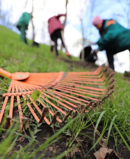 Могилів-Подільський Онлайн