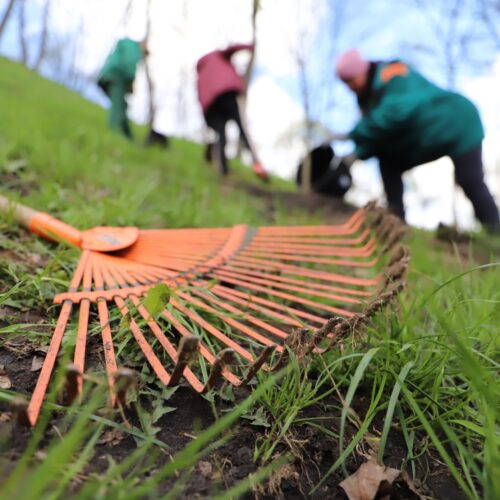 Могилів-Подільський Онлайн