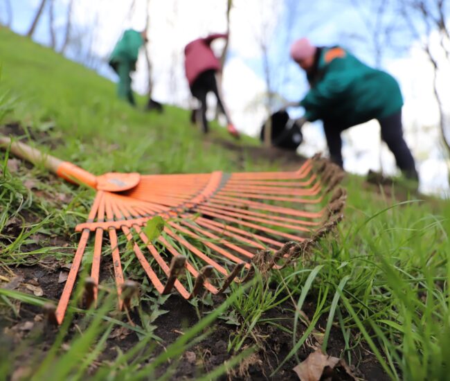 Могилів-Подільський Онлайн