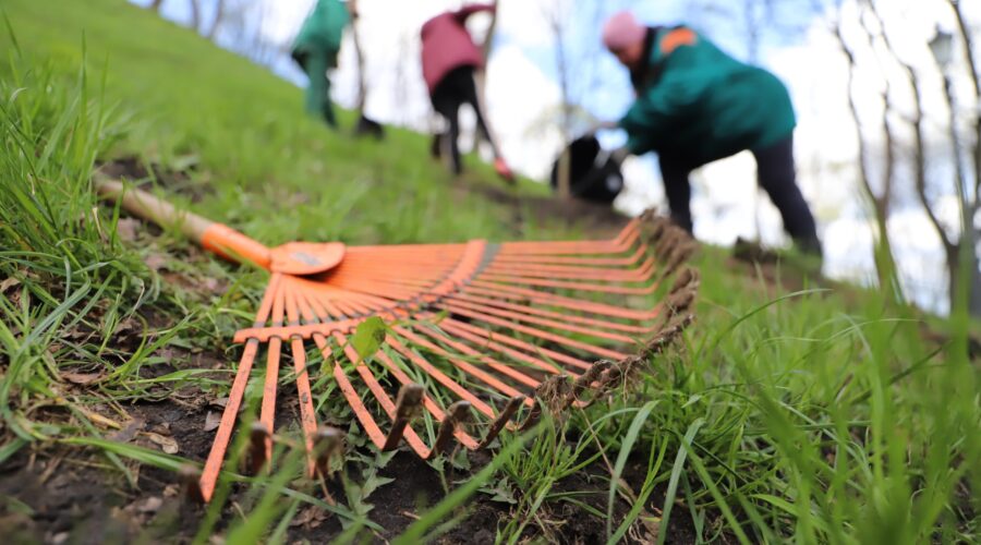 Могилів-Подільський Онлайн