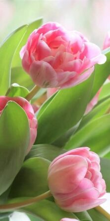 Могилів-Подільський Онлайн