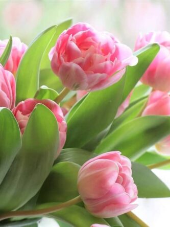 Могилів-Подільський Онлайн