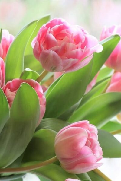 Могилів-Подільський Онлайн