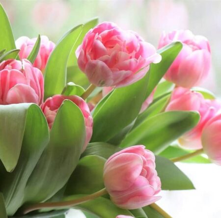 Могилів-Подільський Онлайн