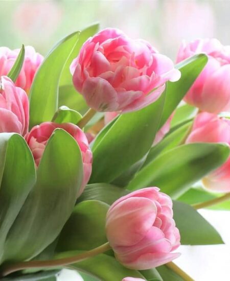 Могилів-Подільський Онлайн