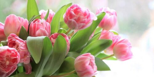 Могилів-Подільський Онлайн