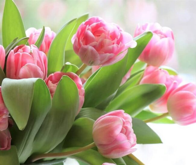 Могилів-Подільський Онлайн