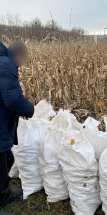 Могилів-Подільський Онлайн