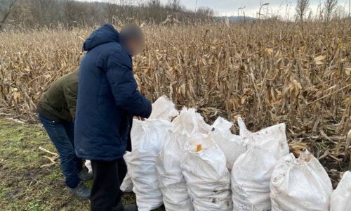 Могилів-Подільський Онлайн