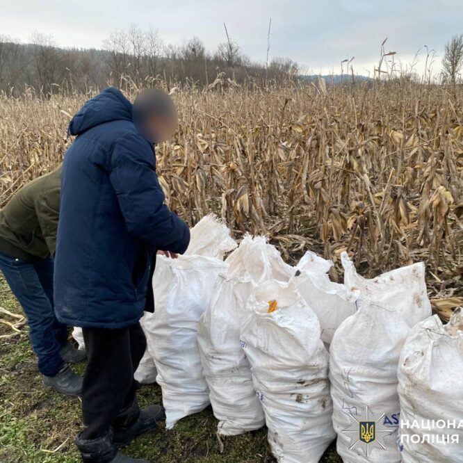Могилів-Подільський Онлайн