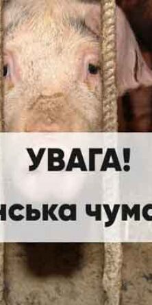 Могилів-Подільський Онлайн