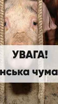 Могилів-Подільський Онлайн