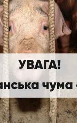 Могилів-Подільський Онлайн