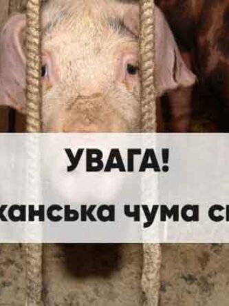 Могилів-Подільський Онлайн