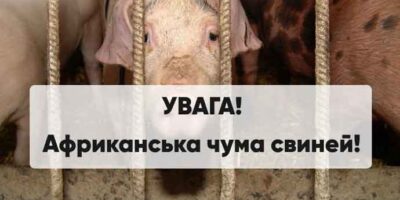 Могилів-Подільський Онлайн