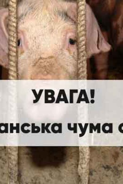 Могилів-Подільський Онлайн