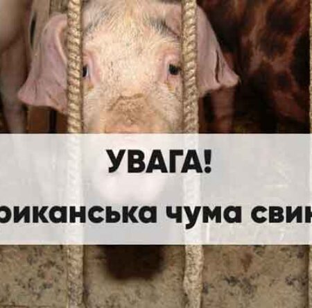 Могилів-Подільський Онлайн