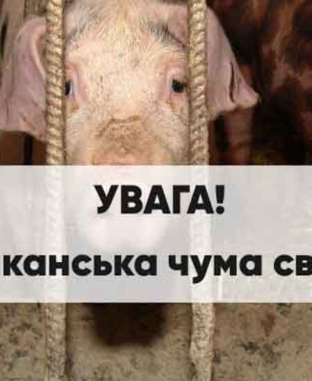 Могилів-Подільський Онлайн