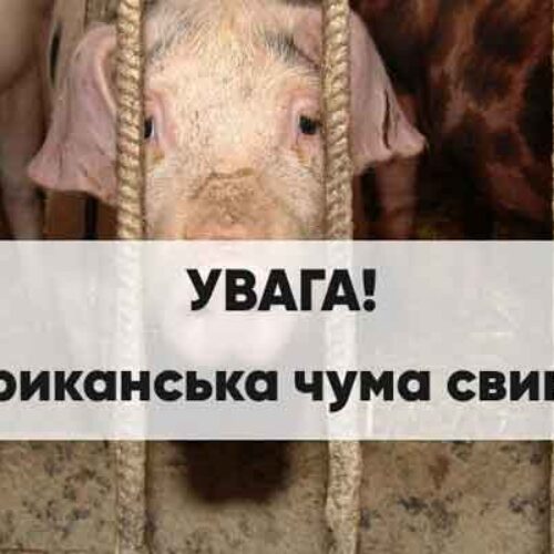 Могилів-Подільський Онлайн