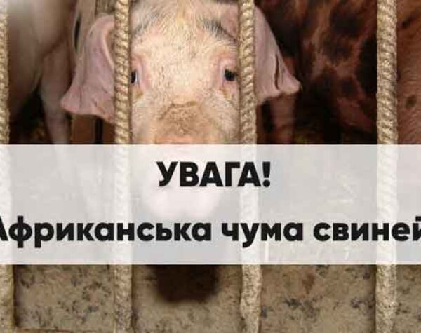 Могилів-Подільський Онлайн