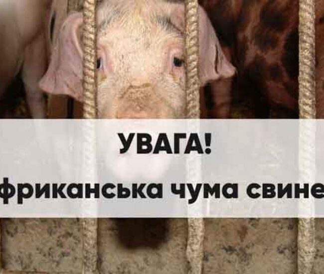 Могилів-Подільський Онлайн