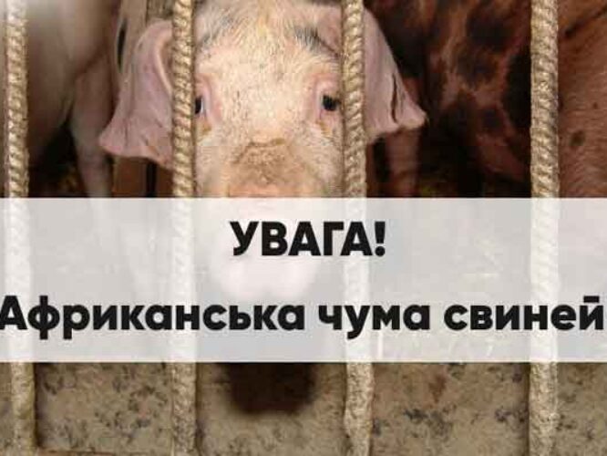 Могилів-Подільський Онлайн