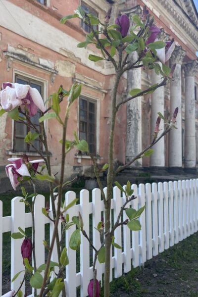 Могилів-Подільський Онлайн