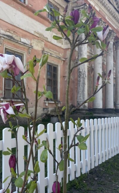 Могилів-Подільський Онлайн