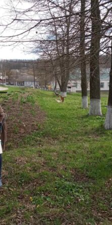 Могилів-Подільський Онлайн