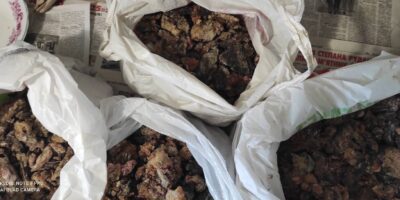 Могилів-Подільський Онлайн