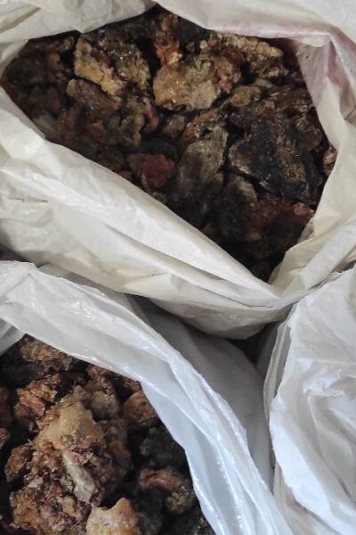 Могилів-Подільський Онлайн