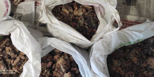 Могилів-Подільський Онлайн