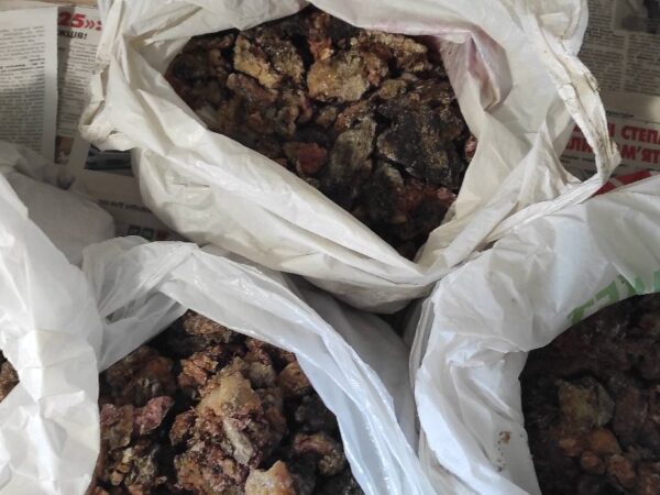 Могилів-Подільський Онлайн