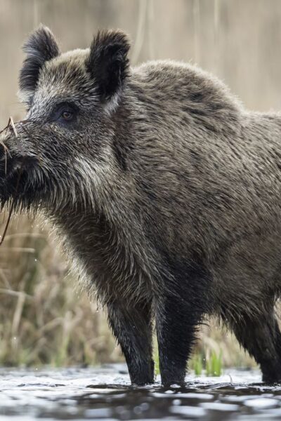 Могилів-Подільський Онлайн