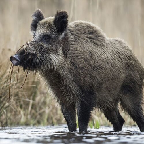 Могилів-Подільський Онлайн