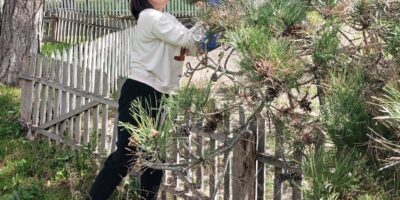 Могилів-Подільський Онлайн