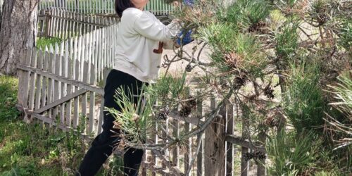 Могилів-Подільський Онлайн